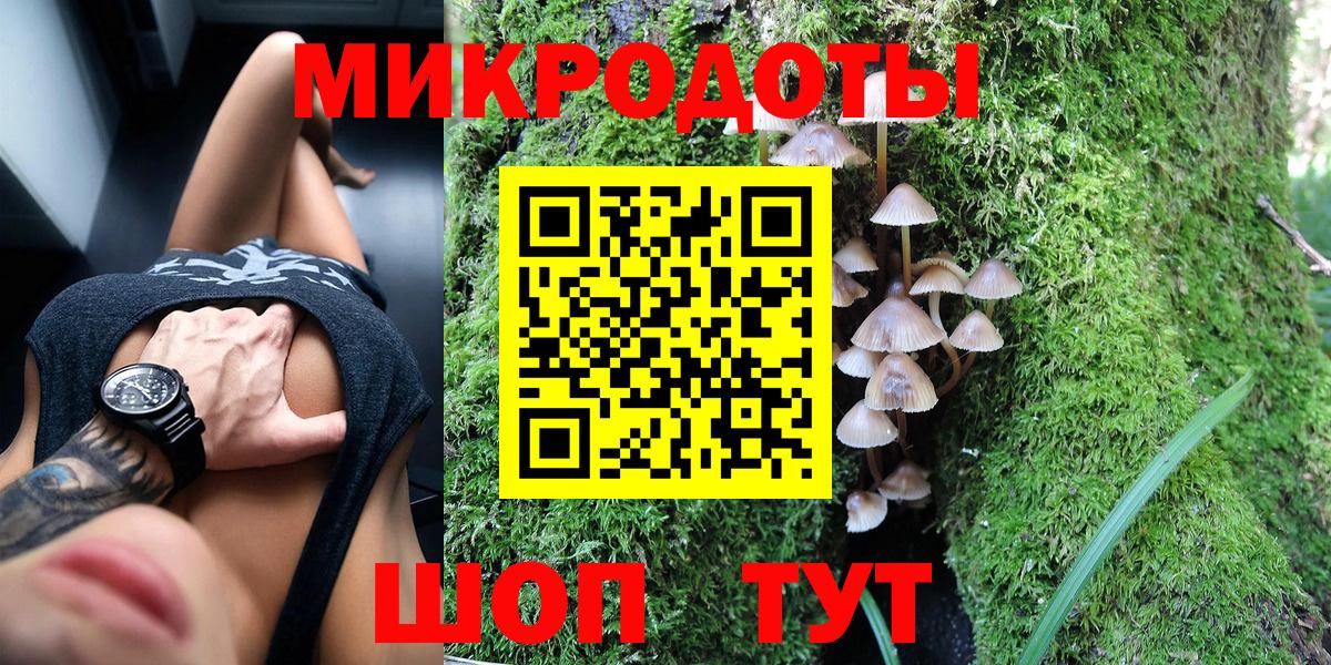 Псилоцибиновые грибы Psilocybe  Вход с VPN  Псилоцибиновые грибы MAGIC MUSHROOMS  Кольчугино 