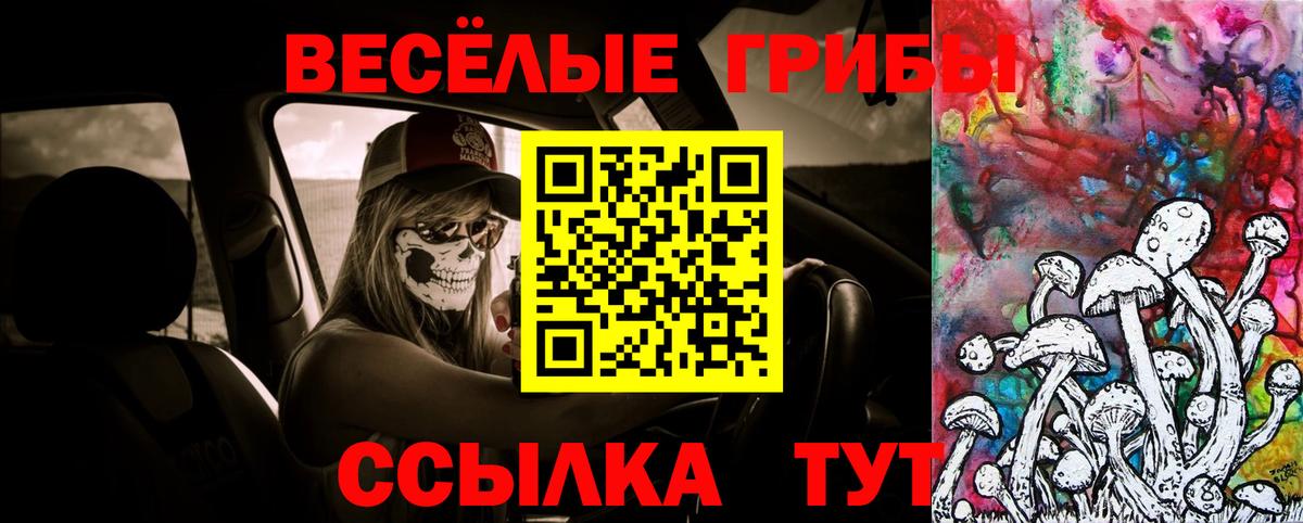 Галлюциногенные грибы ЛСД Кольчугино